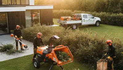 Professional shrub removal service in Troy, NY clearing overgrown bushes for clean landscape