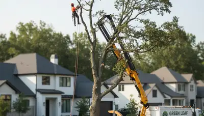 Arborist performing tree removal in Troy, NY for residential property by Chop Chop Tree