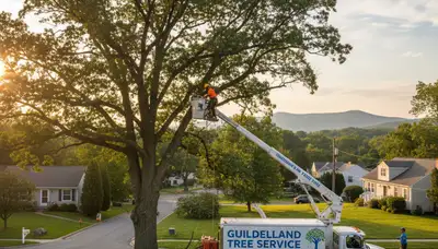 Professional tree removal service in Troy, NY by certified arborists safely clearing large trees