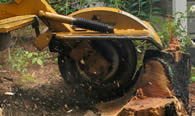 Stump Removal in Troy NY